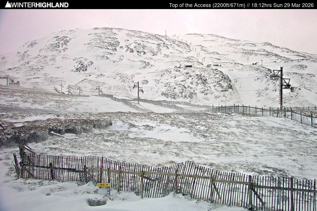 Web Cam Currently Unavailable