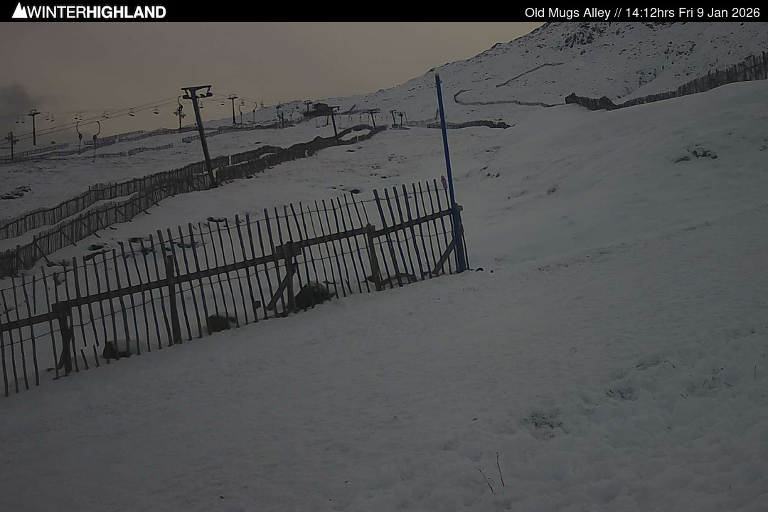 Web Cam Currently Unavailable