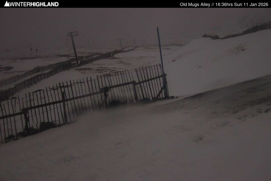 Web Cam Currently Unavailable