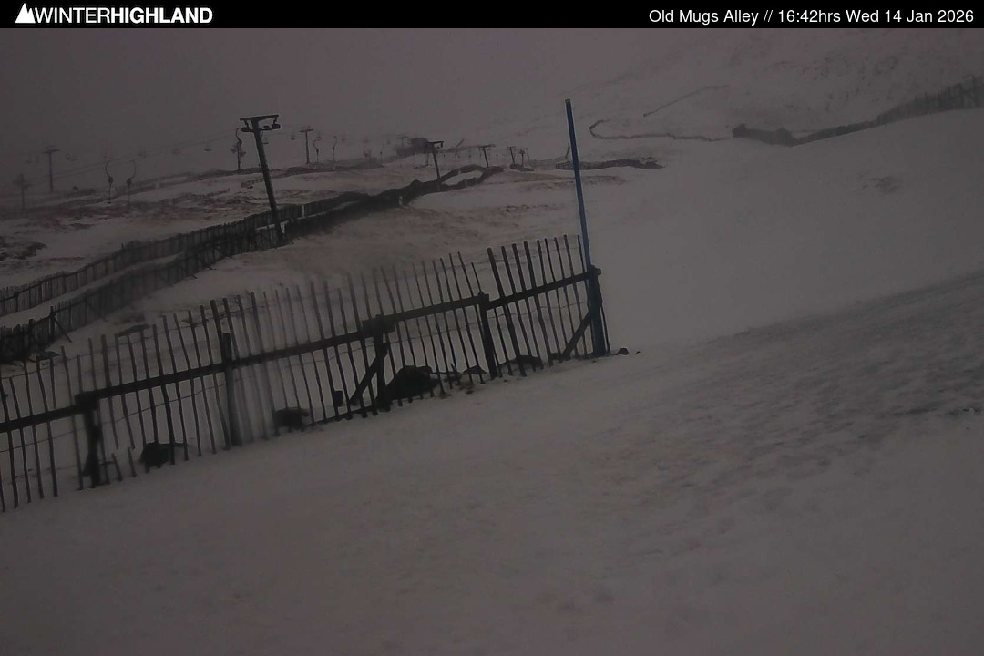 Web Cam Currently Unavailable