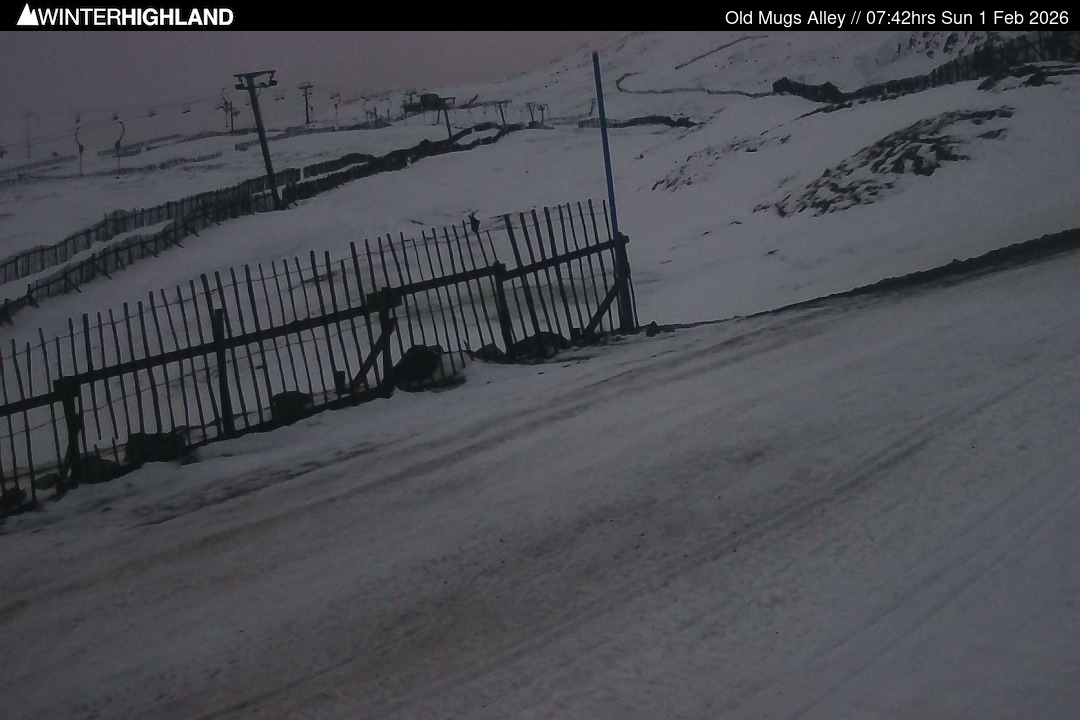 Web Cam Currently Unavailable