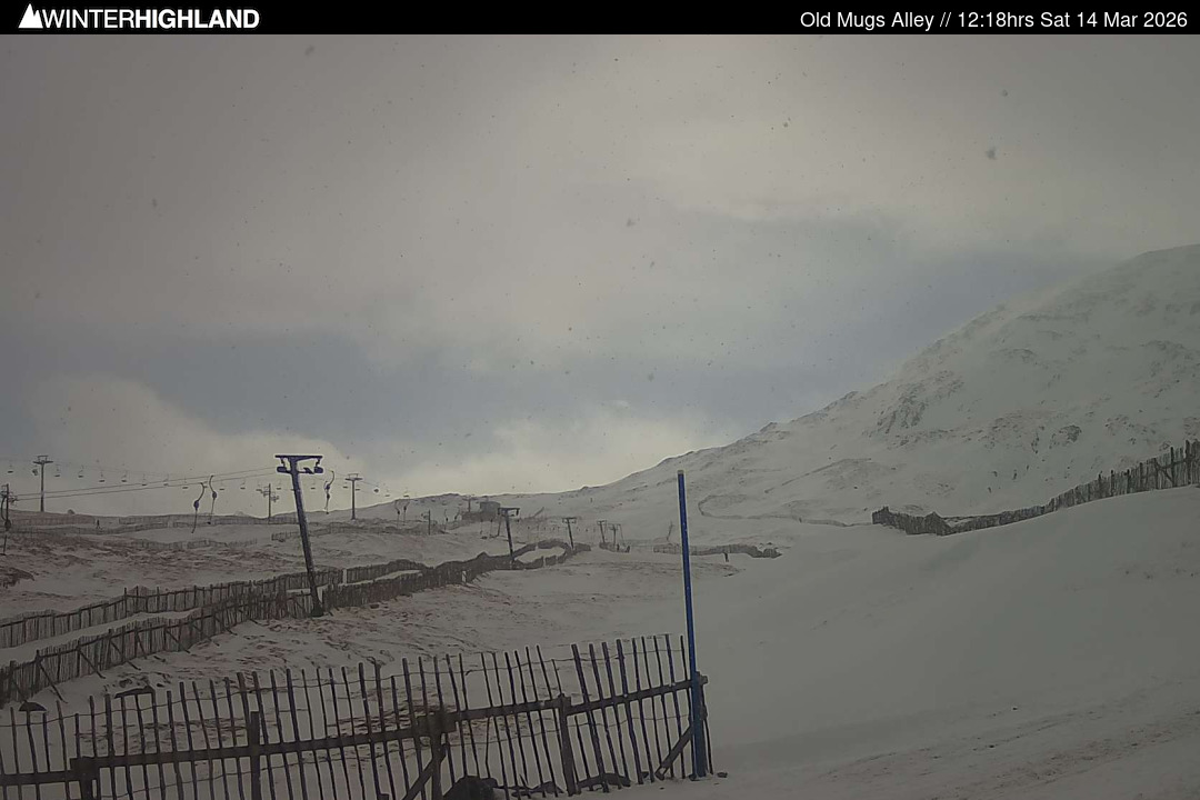 Web Cam Currently Unavailable